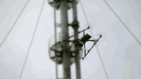 微信图片_20171124051247.gif