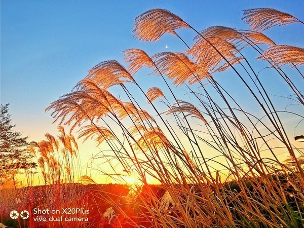 如约而至 vivo X20Plus屏幕指纹版上市 