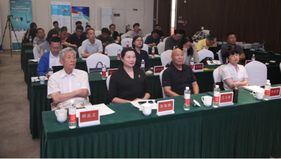 1720426705623053001.png image.png