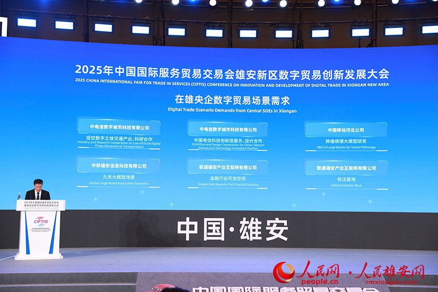 在雄央企数字贸易场景需求发布。人民网记者 宋烨文摄
