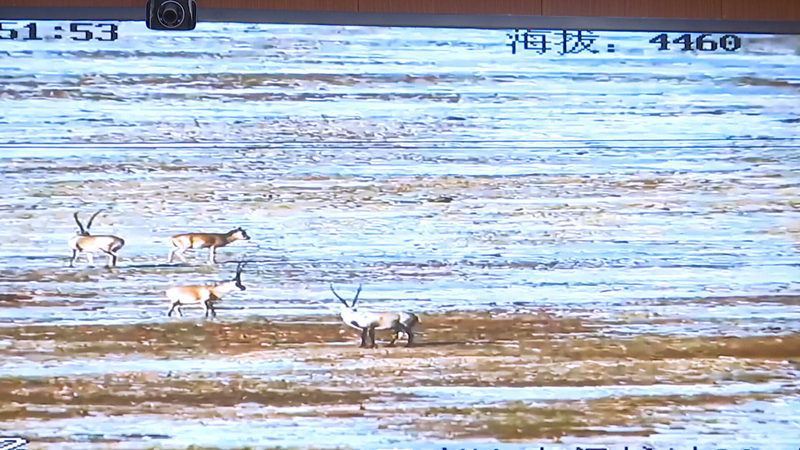 1619417826086017556.png 三江源监测点2(1)_副本.png