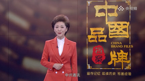 国产手机之路，《中国品牌档案》讲述中兴手机发展历程179.png