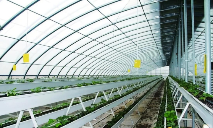 中国联通数字乡村建设成果巡礼之一：数智赋能乡村振兴谱新篇 联通助力千年古城焕新颜586.png