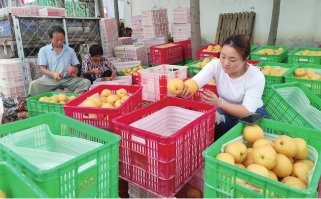 中国联通数字乡村建设成果巡礼之一：数智赋能乡村振兴谱新篇 联通助力千年古城焕新颜1984.png