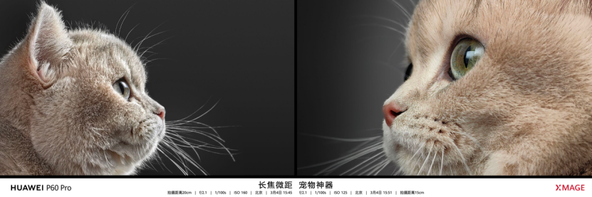 【新闻稿】P系列发展史就是移动影像发展史，全新华为P60系列正式发布1066.png