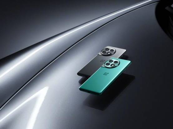 1692190787354091823.jpg image012.jpg