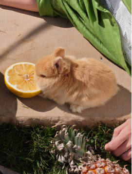 【新闻稿】无感折痕，久用平整，全新OPPO Find N6开启折叠屏无感折痕新世代2284.png