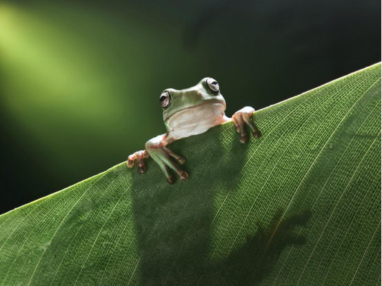 【新闻稿】无感折痕，久用平整，全新OPPO Find N6开启折叠屏无感折痕新世代2302.png