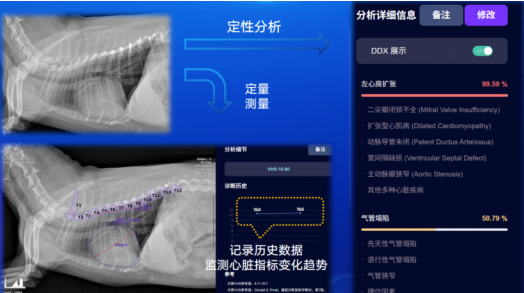 1754297733069099967.png image.png