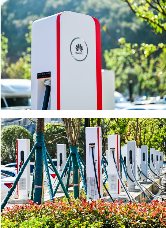 1762843385091019762.png image.png