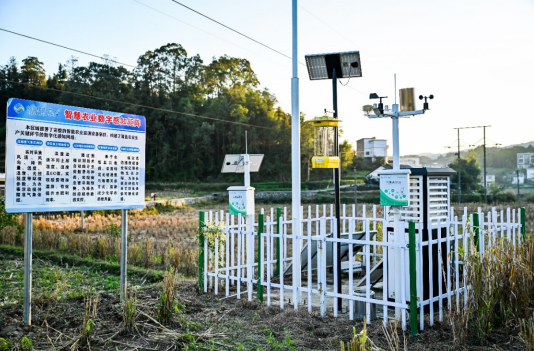 1762843702121037895.png image.png