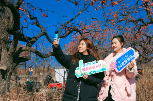 1765518642511041620.png image.png