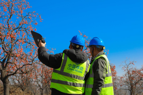 1765518668709000701.png image.png