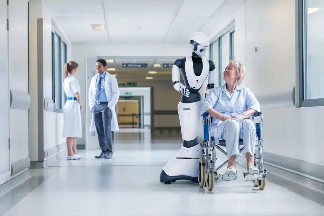 1643874999465023240.png 1643874999465023240.png