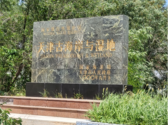 1718673170861009736.png image.png