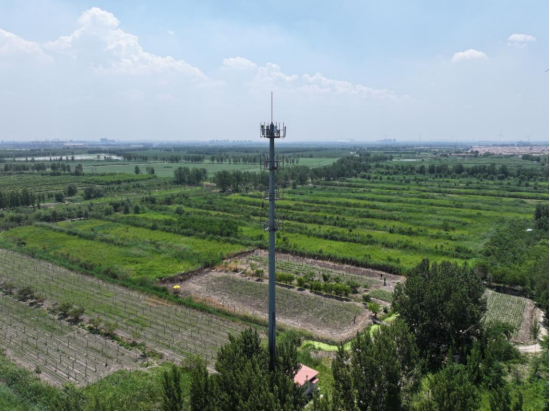 1718673187033027258.png image.png