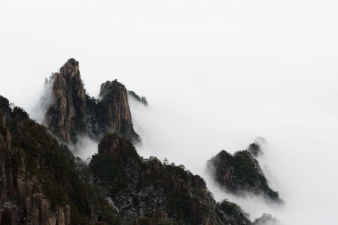 1719894337094047502.png image.png