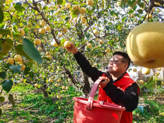 1719894355762068059.png image.png