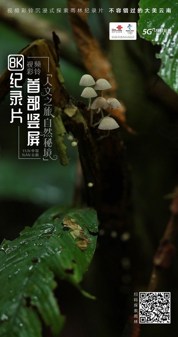 音乐1.png
