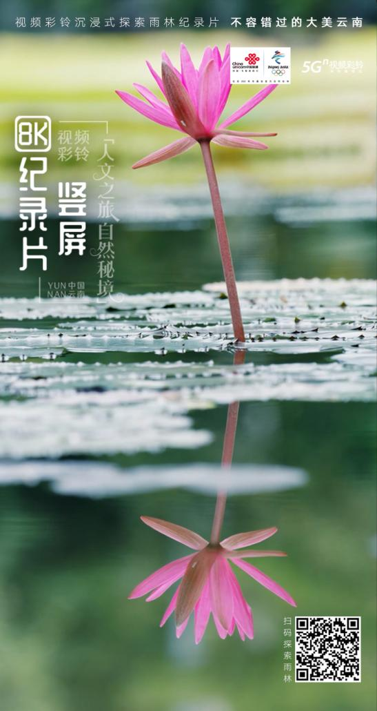 音乐3.png