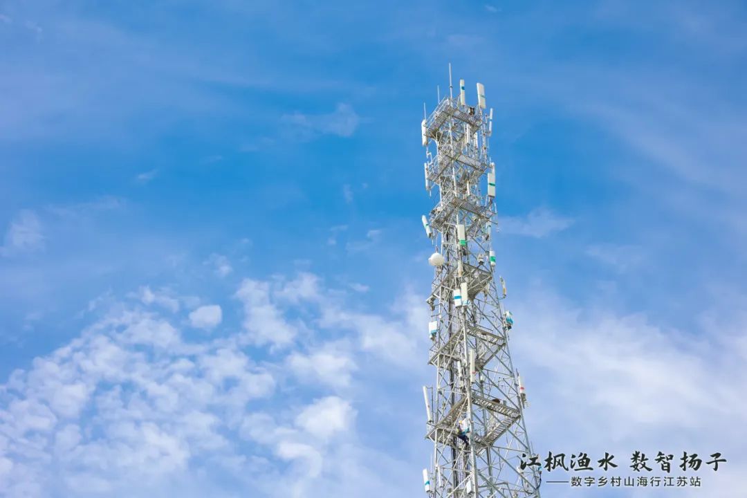 1690457244872062414.jpg