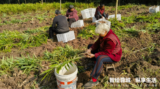 1764234567242032885.png image.png