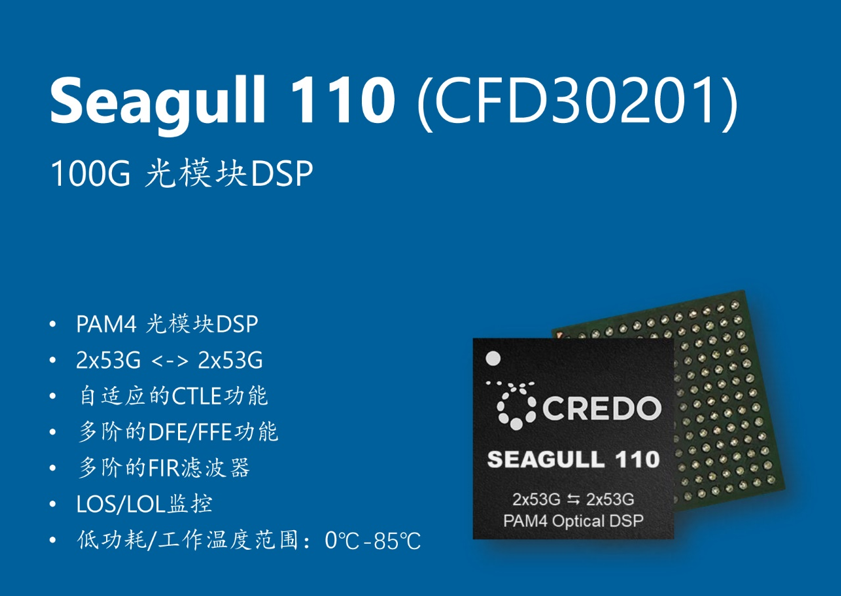 credo光dsp再添新成员seagull110和seagullxr8