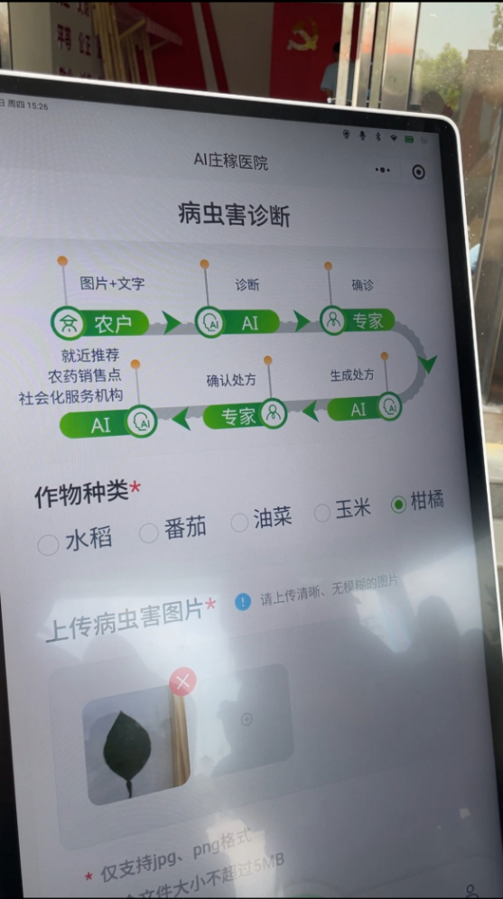从田间向云端，AI为何能成乡村振兴“新引擎”？_通信世界网